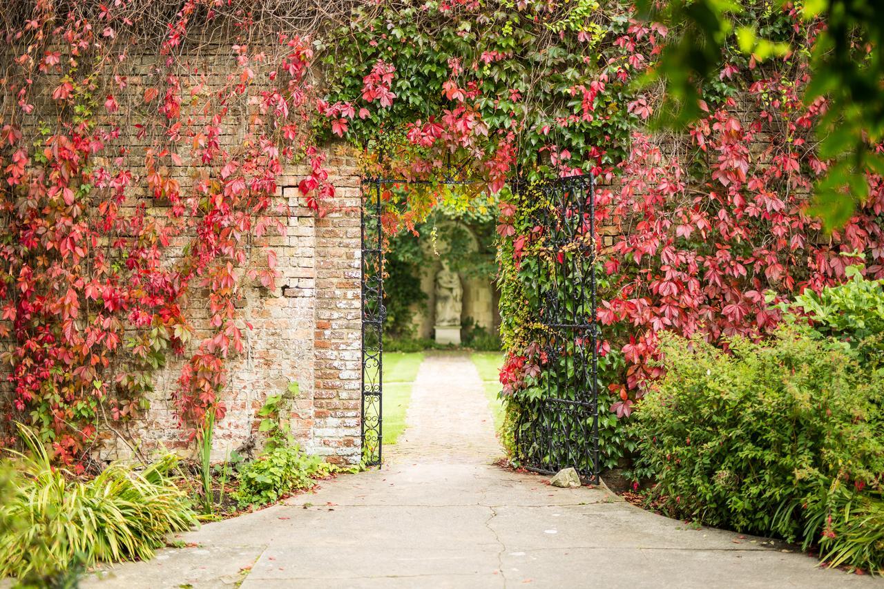 Eastwell Manor, Champneys Hotel & Spa แอชฟอร์ด ภายนอก รูปภาพ